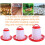 Automatic Poultry Food Dispenser Container Bird Chick Feeder For Duck Model And Specifications Size Duck Compatibility 5