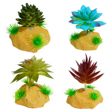 Reptiles Succulents Grass with Leaves Terrarium Plant-C