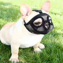 Kurzschnauzen-Maulkorb für Hunde, atmungsaktives, verstellbares Netzgewebe, Zungenfreiheit für optimale Sicht, Hundemaske für tierschutzgerechte
