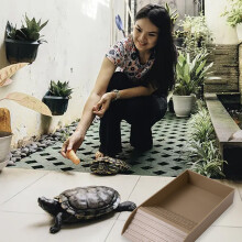 Natürliches Verhalten wird gefördert durch den Reptilien-Wassernapf aus ABS-Material, den robusten Schildkröten-Futternapf mit rutschfester Rampe