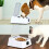 Smart Cat Feeder Bowl with Digital Display, Utilizing IR Induction for Seamless Feeding Experiences and Preventing Slips 2