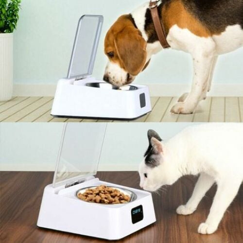 Smart Cat Feeder Bowl with Digital Display, Utilizing IR Induction for Seamless Feeding Experiences and Preventing Slips 1