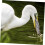Angle Fish Nets 20 Pcs  Fish Protector Net Guard, PP Plastic Material, WearResistant, Practical for Outdoor Ponds 3