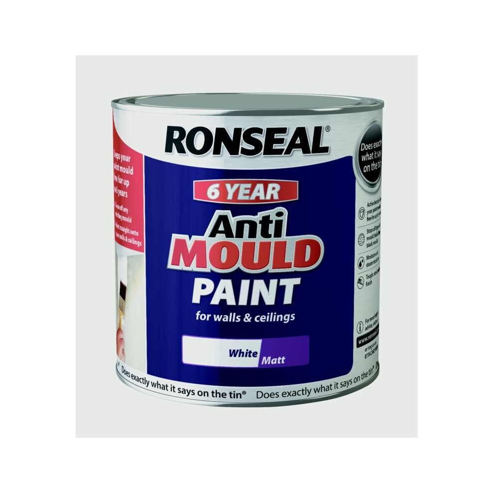 Ronseal 6 Year Anti Mould Paint White Matt 2.5L