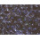 Premier Premier Decorations 360 LED Net Christmas Lights - Blue & White 1