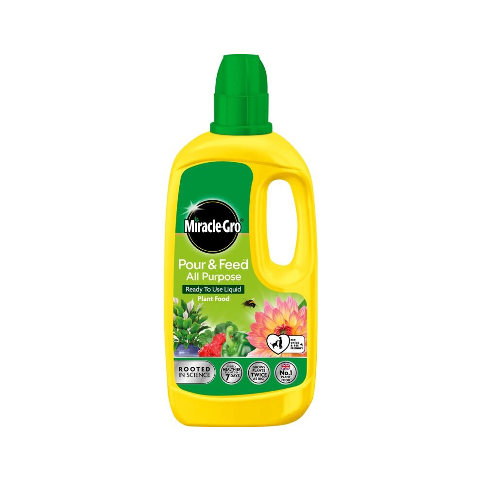 MIRACLE-GRO ALL PURPOSE LIQUID PLANT FOOD 1L POUR & FEED CONCENTRATED FERTILISER - Image 10
