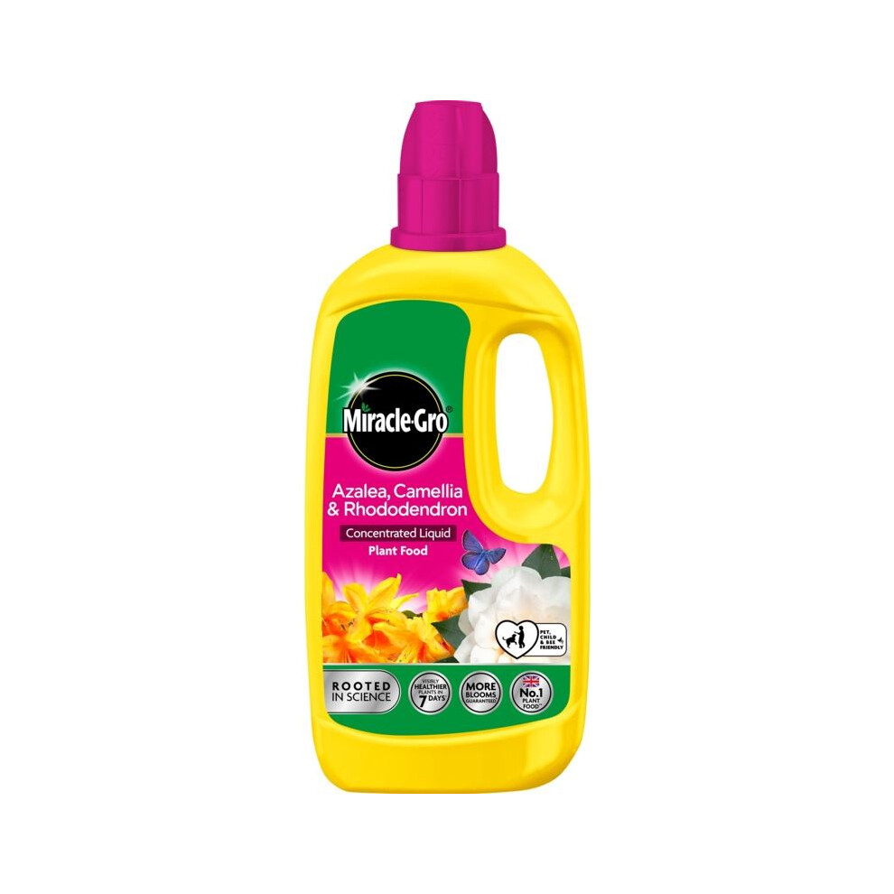 Miracle-Gro Miracle Gro Azalea Concentrated Liquid Plant Food Rhododendron 800Ml
