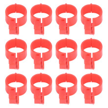 100 Stück Hühnerbeinbänder, Schnallendesign,