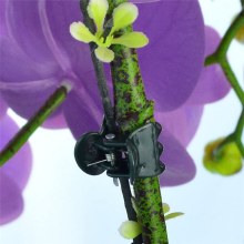 Y17A große Gartenpflanzenclips Stütze Orchideenstängelklammer für Rebengemüse Blütenbündel-Klemmwerkzeug zum Klemmen von Ästen