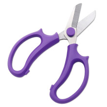 Rustproof Stainless Steel Garden Scissors with Incisive Blades, Bright Purple Florist Shears