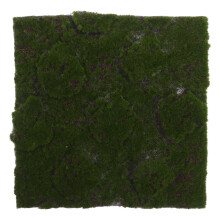 Groene Kunststof Nepmos Mat, Kunstgras Voor DIY En Model Landschap