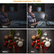 Professionele tweekleurige LED-videolamp voor portretten, eten en stillevens, oplaadbare batterij, CRI 95+, dimbaar, ultraheldere foto- en