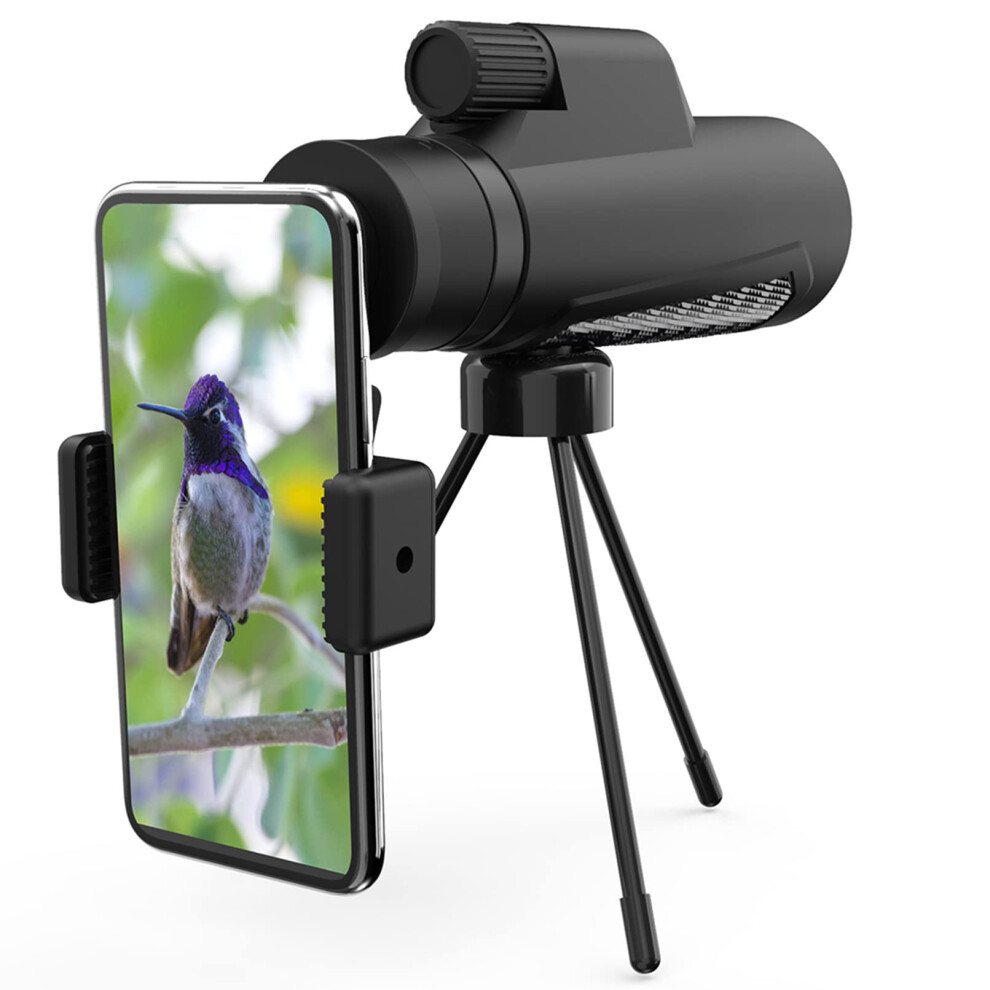 Monocular Telescope, 10X42 Resolution, Fmc Lens, Bak4 Prism, With Smartphone Holder 9426802404227