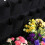 Reusable Vertical Wall Planters, Space-Saving Felt Material Planters for Multi-Pocket Gardening (Black) 4
