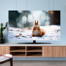 TV Dust Cover 75 Inch Squirrel Pattern, Universal Screen Protector, Elastic Breathable HalfBack Design