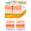 1 pièce pour attache à fermeture éclair, patch de fermeture éclair, pansement pour blessure, suture rapide pour plaisir en extérieur, patch 6