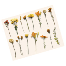 30 Stück Vintage Botanik- und Blumenaufkleber für Scrapbook- und Journal-Craft-Projekte