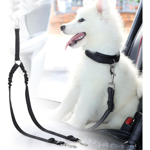 Double Dog Leash, Performance Nylon Adjustable ExplosionProof 2 Dog Leash for Outdoor Training 2