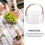 Multi Purpose Transparent Organizer with Versatile Usage, Compact Size Lightweight Storage Basket for Kitchen Bathroom Office Decor, Thick Leather Han 3