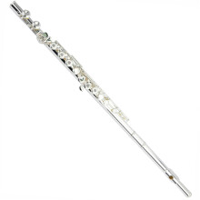 Flute Instrument 16/17 Open and Closed Hole Silverplated C Key E Key Beginner Professional Flute (16 holes closed)