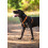 Lumberjack Harness Reflective, Black 3