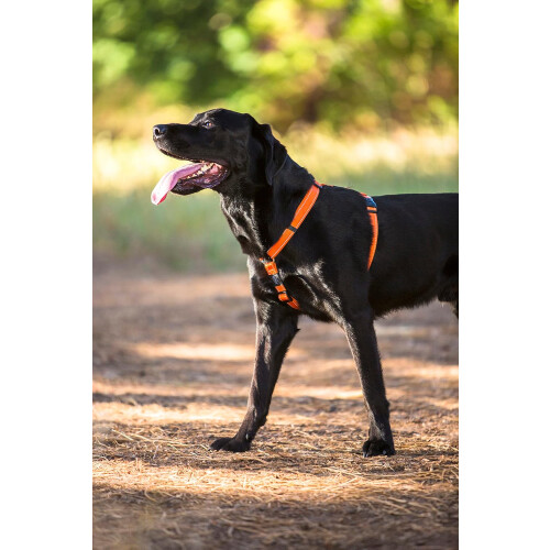 Lumberjack Harness Reflective, Black 2
