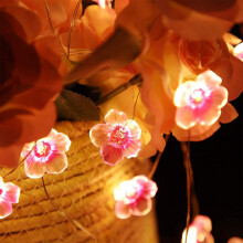 Cherry Blossom String Lights: 3M 30 LED Copper Wire Fairy Night Light, Easy to Use Battery Operated Waterproof Decor for Indoor Outdoor Celebration
