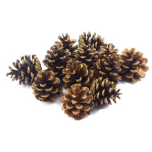 Nature's Artistry: Large Snow Pine Cones, Perfect For Rustic Wedding Decor, Diverse Sizes Enchant Your Autumn Winter Decor, 5-8cm Untreated Pine