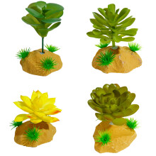 Reptiles Succulents Grass with Leaves Terrarium Plant-A