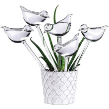 Hidratação saudável para plantas, bulbos em formato de pássaro para irrigação por gotejamento lento, sistema de irrigação automática para