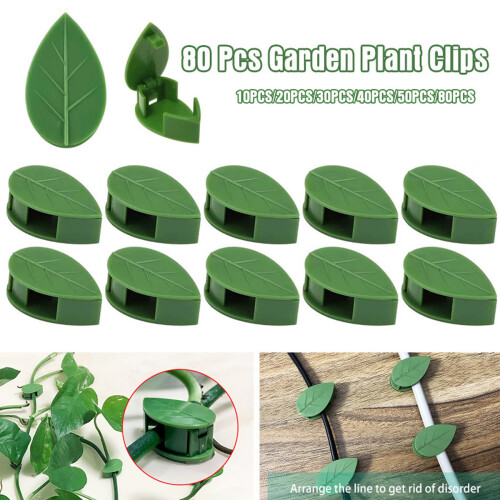 Artful Garden Guardians, 50 κλιπ τοίχου για φυτά Green Leaf, ο συνεργάτης σας στη δημιουργία 1
