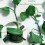 Green Harmony, 50 Κομψά Κλιπ Στήριξης Αναρριχώμενων Φυτών σε Σχήμα Φύλλου, Το Μυστικό σας 3