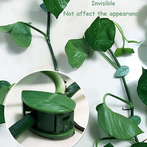 Green Harmony, 50 Κομψά Κλιπ Στήριξης Αναρριχώμενων Φυτών σε Σχήμα Φύλλου, Το Μυστικό σας 2