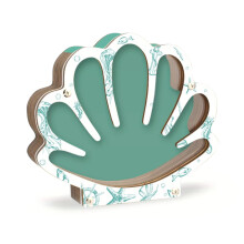 Seashell Display Case Decorative Transparent Wooden Box for Collectors Home Decor 7 Inch