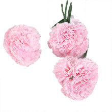 Fleurs artificielles réalistes, fleurs en soie pour décoration de mariage, compositions artificielles rose vif pour loisirs créatifs