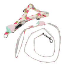 Adjustable Dog Lead with Fresh Fruit Print, Wide, Lightweight and Breathable Pet Accessories for Safe Walking for Small Dogs