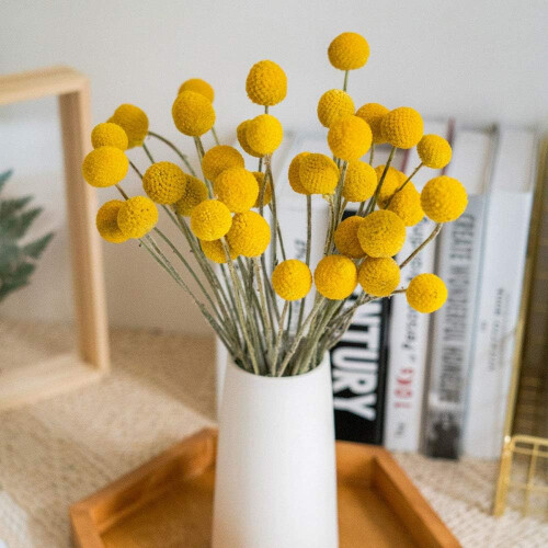 Μποέμικη κομψότητα: 20 κίτρινα κουμπιά Billy Buttons, φυσικά αποξηραμένα Craspedia, ύψος 40εκ., 2