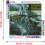 Artistic Canvas Kits, Unmatched Quality, Easy DIY Steps for Creative Expression (30 x 30 cm) 3