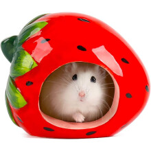Caverna de cerâmica para hamster, refúgio seguro para pequenos animais com orifício de observação, local de descanso quente no inverno e fresco