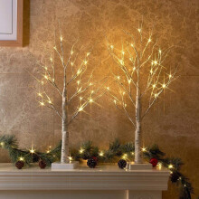 Battery Operated LED White Twig Tree, 2FT Tall Lighted Birch for Christmas Holiday Decor, Flexible Branch & Timer Function