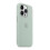 (Succulent)Silicone Phone Case Compale With Iphone 14pro New Arrival 4