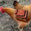 Chicken saddle, feather protection for back and sides, full coverage, breathable, lightweight. 5