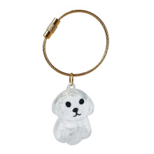 Dog Hair Storage Bottle Keychain Clear Dog Hair-Shih Tzu