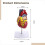 Anatomical Heart Model Life-Size 1:1 Scale Removable Components 34 Labels Educational Study Tool 2