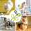 Training Rope for Small Dogs  Adjustable Comfortable Leash for Training, Play 3