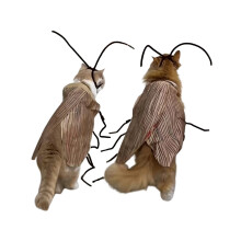 DIY Cat Cosplay Dress Up Cockroach Costume Pet Breathable Clothing Funny Party Decor Outfit Uniform Pet Supplies Handmad
