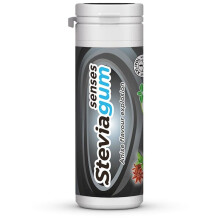 ginjer Steviagum Senses Chewing gum 30g Anise | Fresh Breath And Oral Hygiene