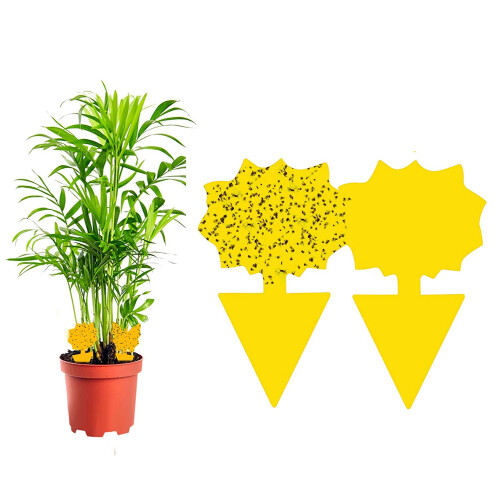 60-pack Flugfångare / Flugfälla / Klibbig insektsfälla Yellow 1