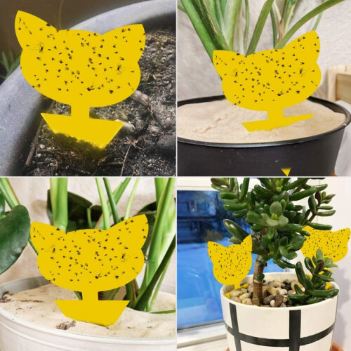 60-pack Flugfångare / Flugfälla / Klibbig insektsfälla Yellow 2