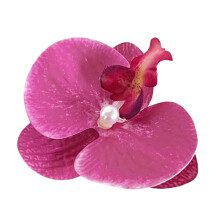 Unique Hair Colorful Hair Accessory Beautiful Hairpin Hair Clip Stylish Hair Clip Weddings Celebrations